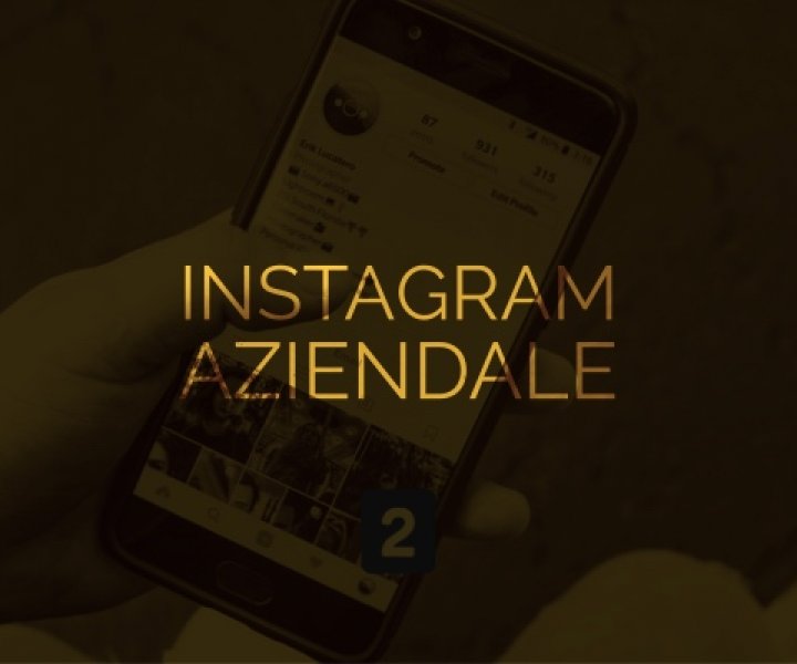 Scopri come pubblicizzare un'azienda su Instagram tramite una pagina Instagram Aziendale e Instagram Ads.