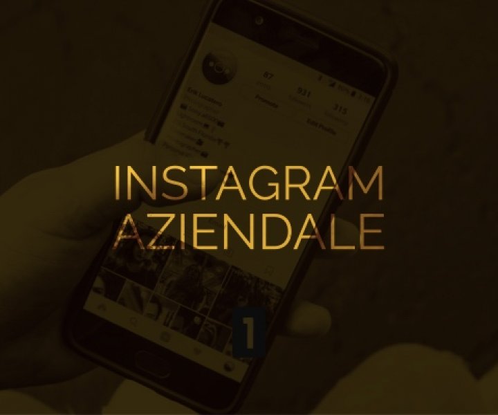 Scopri perchè è importante pubblicizzare un'azienda su Instagram tramite una pagina Instagram Aziendale.